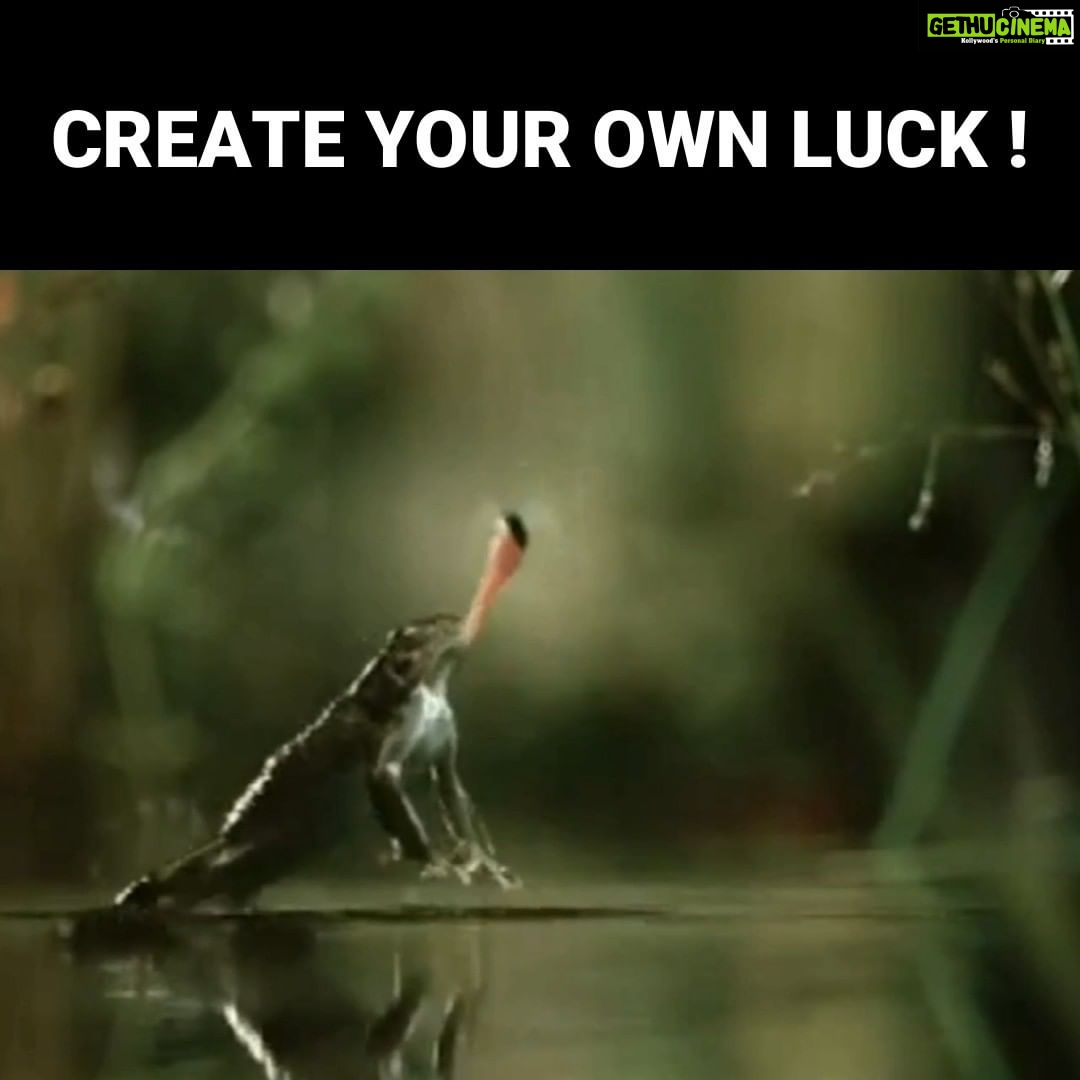 Ghibran - 3.9K Likes - When luck is not in your favour, create your own luck!
#motivation #dailythoughts