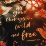 Gopika Anil Instagram – ..her,
Because she
Makes life poetry ,
She turns every bit
Of it into art !!! 💫
.
.
.
.#gops #gopikaanil  #says #reelsfeelit #her #captures #reelsinstagram