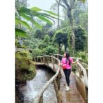 Gopika Anil Instagram - . Breathe. See. Listen. Feel. What's around ! 🥰 💫🧿 @parakkatnatureresortmunnar . #munnardiaries #parakatnature #munnartrip #breathe #see #listen #feel #nature #imeandmyself #live #letlive