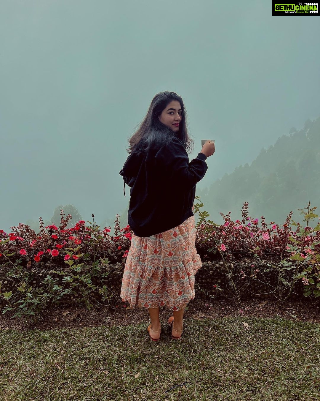 Grace Antony Instagram - Sheβs Dreaming π . . . . . π @signatures_by_treesa_josh πΈ @jo_makeup_artist π @chandysdrizzledrops @allonawallkochi @anitha_anuj . . #graceantony #travel #traveling #vacation #december #diary