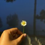 Grace Antony Instagram - Milky mist.. 🌧🌼