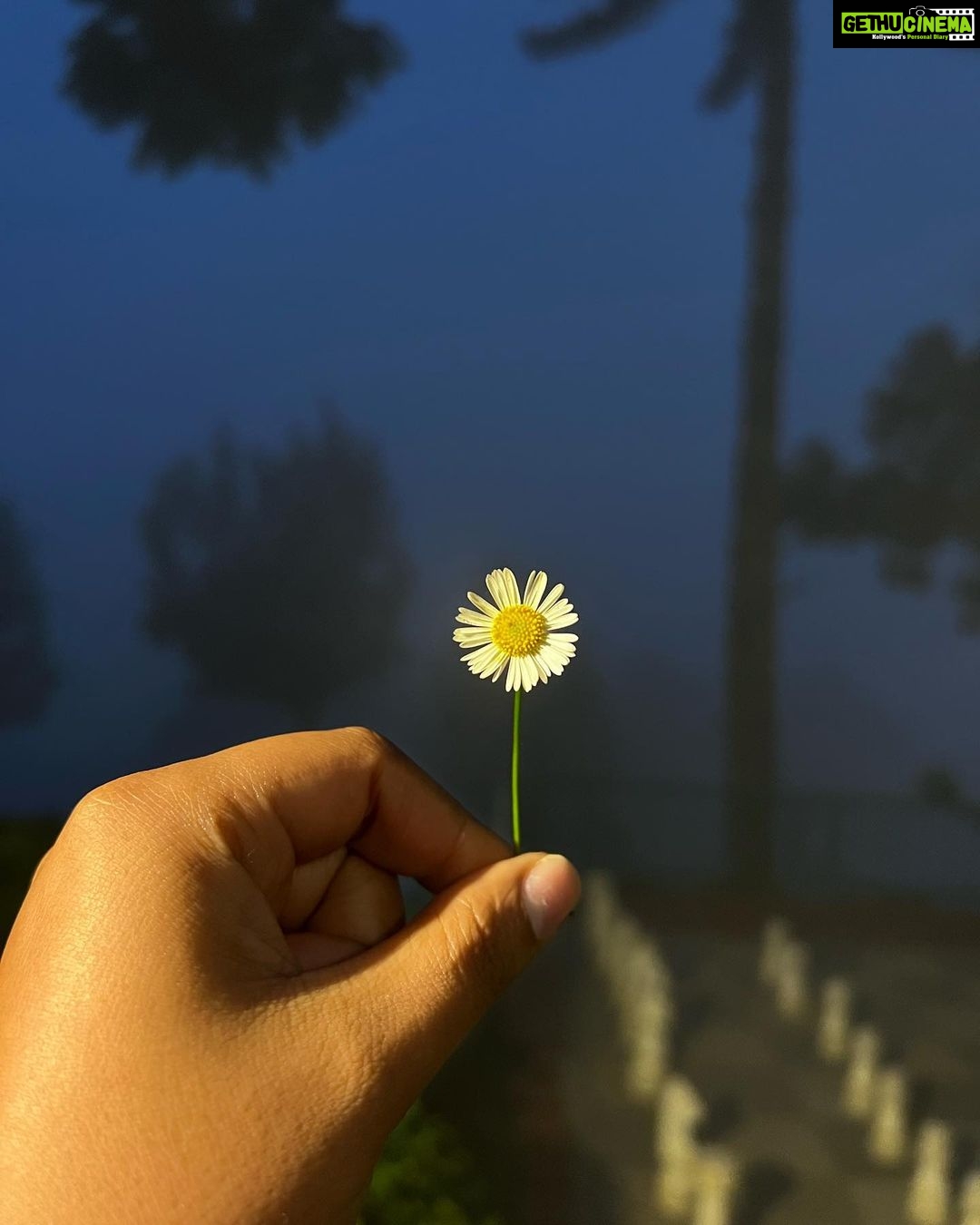 Grace Antony Instagram - Milky mist.. 🌧🌼