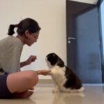 Haniya Nafisa Instagram - Had been training @oliveeeeerrrrr for the past week and I’m happy this boy isn’t as lazy as before Chennai, India