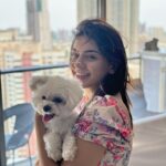 Hansika Motwani Instagram – Feeling 🐾 PAWSOME 🐾 #teddymotwani