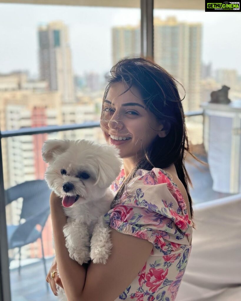 Hansika Motwani Instagram - Feeling 🐾 PAWSOME 🐾 #teddymotwani