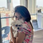 Hansika Motwani Instagram – Feeling 🐾 PAWSOME 🐾 #teddymotwani