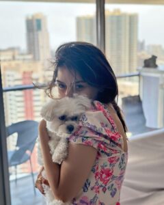 Hansika Motwani Instagram - Feeling 🐾 PAWSOME 🐾 #teddymotwani