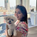 Hansika Motwani Instagram – Feeling 🐾 PAWSOME 🐾 #teddymotwani