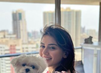 Hansika Motwani Instagram - Feeling 🐾 PAWSOME 🐾 #teddymotwani