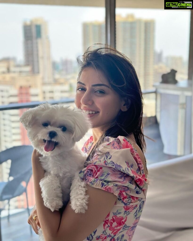 Hansika Motwani Instagram - Feeling 🐾 PAWSOME 🐾 #teddymotwani