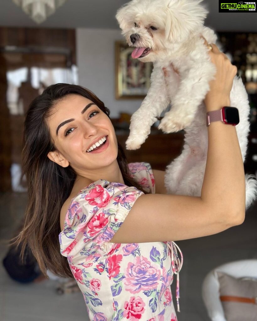 Hansika Motwani Instagram - Feeling 🐾 PAWSOME 🐾 #teddymotwani