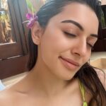 Hansika Motwani Instagram – 🌺