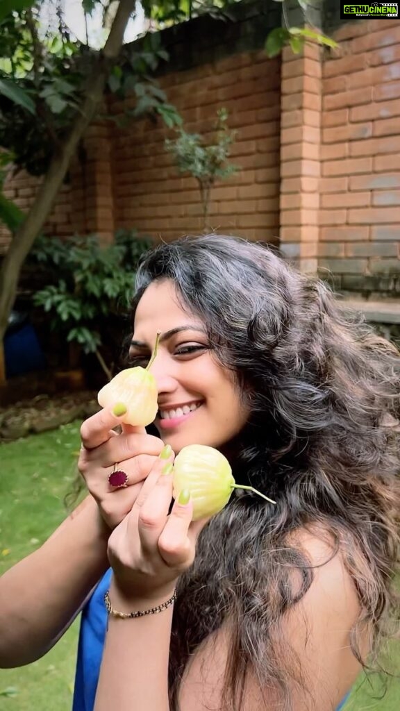 Hariprriya Instagram - Killing the weekday blues this weekend with some refreshing water apples !! 🤩 #Weekendvibes #Waterapples #Goodmood #reelitfeelit #reelsinstagram #reelsindia #reelsvideo #reels