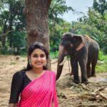 Haritha G Nair Instagram - 🐘 ആനുംമാമ 🐘 🎥 : @rohith.rnair.44 ❤