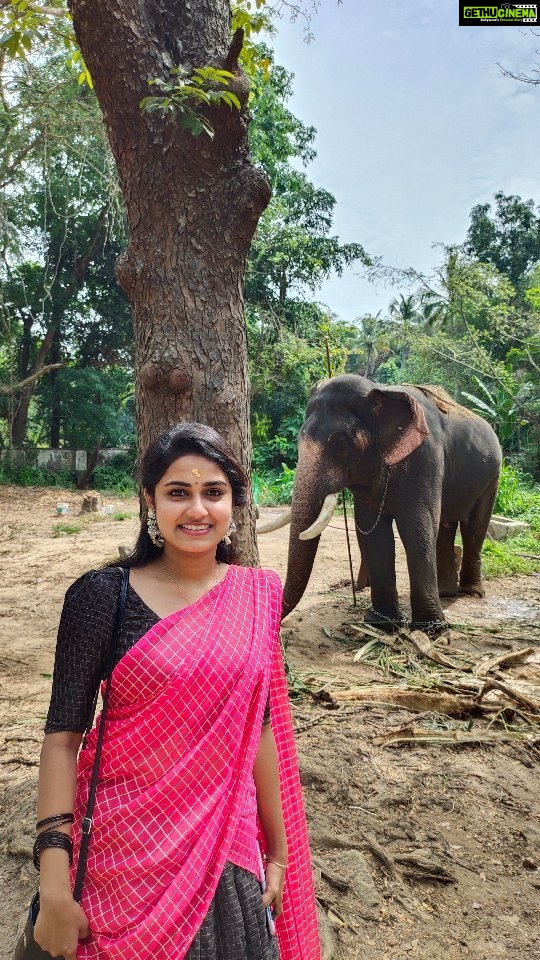 Haritha G Nair Instagram - 🐘 ആനുംമാമ 🐘 🎥 : @rohith.rnair.44 ❤