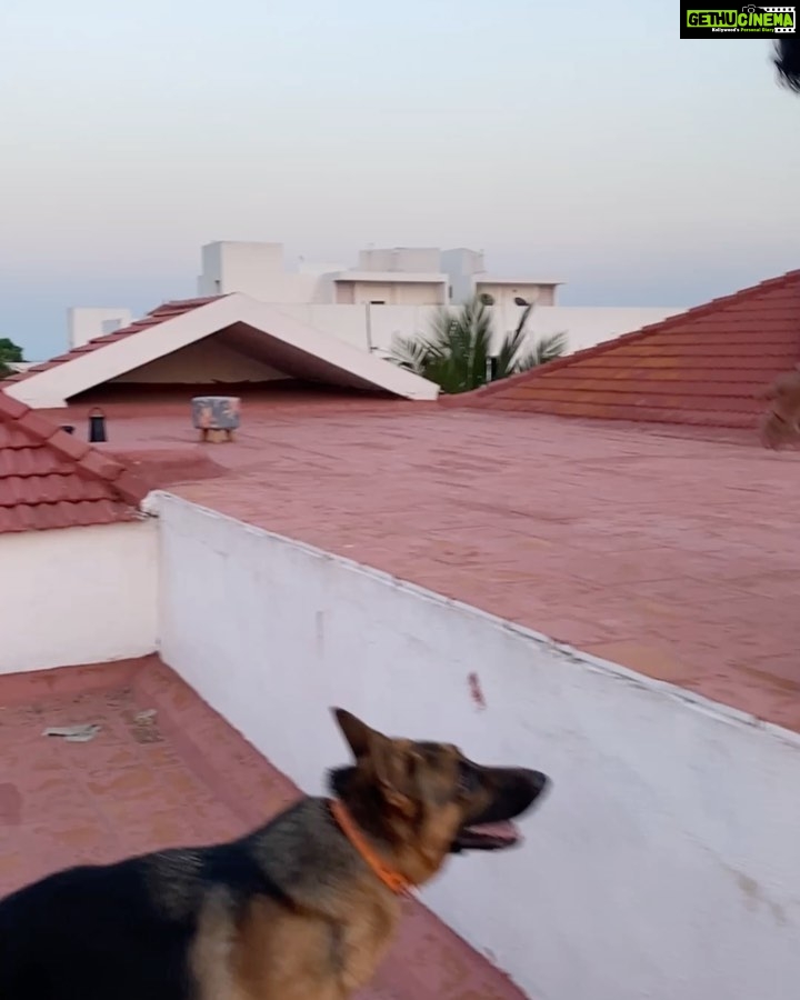 Hiphop Tamizha - 352.3K Likes - Training my boy #ila