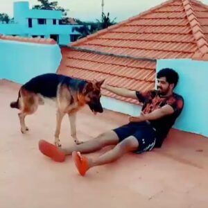 Hiphop Tamizha Instagram - Quarantine and chill with my wolf boy 🐺