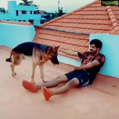 Hiphop Tamizha - 240.3K Likes - Quarantine and chill with my wolf boy 🐺