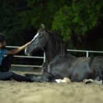 Hiphop Tamizha Instagram - There is nothing so calming yet also so invigorating than to be with a horse. A horse, teaches you so much about yourself and the world around you. You learn about patience and discipline while training them, and perseverance when facing obstacles that at times may feel unsurmountable. My brothers documented my journey with Reagan and will present it to you in 7 episodes. Thank you jp & bharath, manoj and the whole team involved with it. வீரன் குதிரை ரீகன் 🤟🏻
