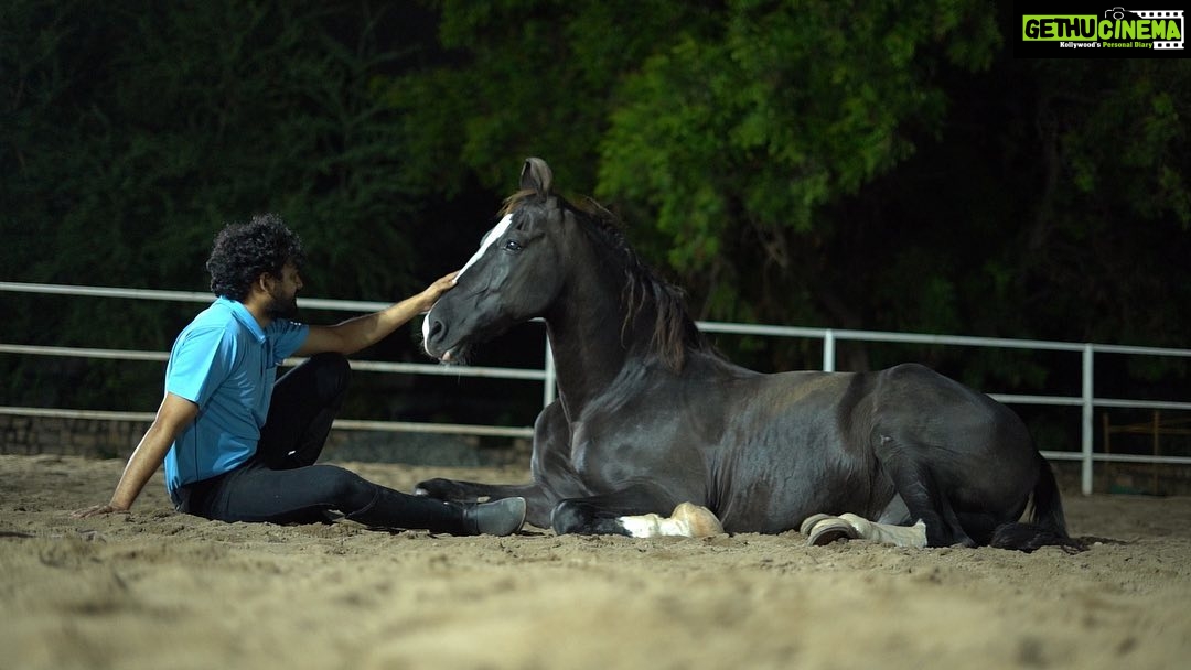 Hiphop Tamizha Instagram - There is nothing so calming yet also so invigorating than to be with a horse. A horse, teaches you so much about yourself and the world around you. You learn about patience and discipline while training them, and perseverance when facing obstacles that at times may feel unsurmountable. My brothers documented my journey with Reagan and will present it to you in 7 episodes. Thank you jp & bharath, manoj and the whole team involved with it. வீரன் குதிரை ரீகன் 🤟🏻