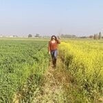 Isha Rikhi Instagram – #SaadiReelSaadiFeel  #feelitreelit #punjab 🌾🌿