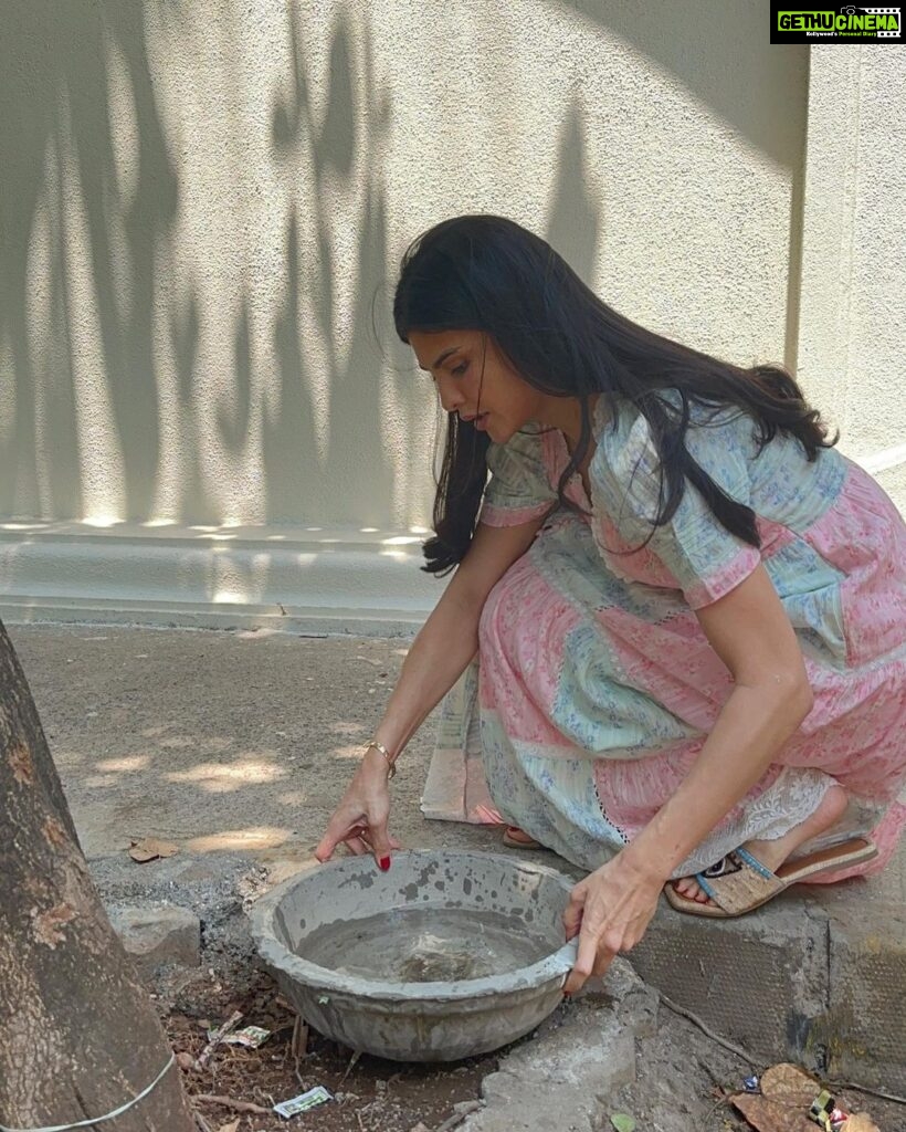 Jacqueline Fernandez Instagram - 🌸🌸🌸 these water bowls will help stray animals during these difficult summer months to hydrate and stay cool!! I sincerely request all those who can to pls get these mitti bowls or even mitti bowls from your own local potters and place them outside your buildings! Pls tag @jf.yolofoundation @thefelinefoundation so we can repost your amazing work and spread the word!!! I got my mitti bowls from the @thefelinefoundation thank you so much for this amazing initiative 💜 also the water bowls need to be cleaned and refilled daily to avoid stagnant water and to keep it fresh and hygienic for the community!