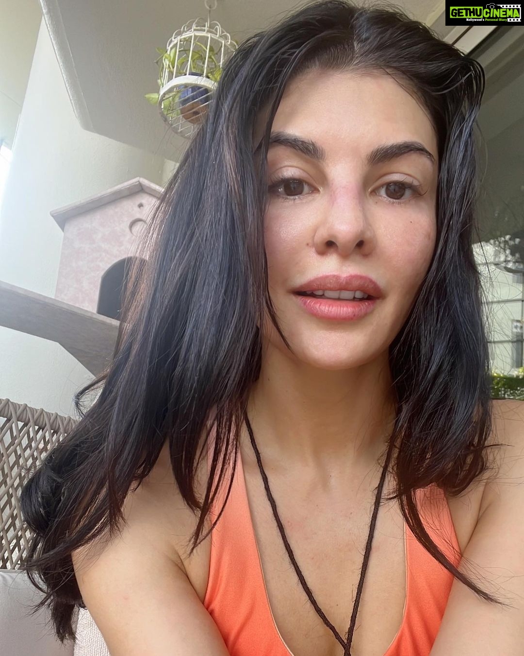 Jacqueline Fernandez Instagram - πΈπ€π»