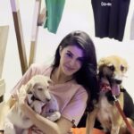 Jacqueline Fernandez Instagram – Had the best time celebrating all the amazing NGOs who work so tirelessly for the welfare of animals! Thank you so much for all you do and to all the people who came to support their work, this means so much to them and to the betterment of animal welfare! Always grateful!! 🤍🤍 thank you team @jf.yolofoundation and to all our sponsors @wagtailpark
@petgascar_spa
@monsterenergy
@cravovaofficial 
@bayroutedining
@lux_cozi_innerwear @jioworlddrive
@jio_creative_labs