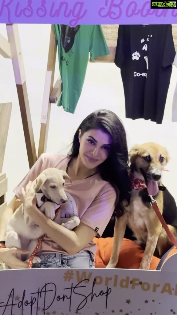 Jacqueline Fernandez Instagram - Had the best time celebrating all the amazing NGOs who work so tirelessly for the welfare of animals! Thank you so much for all you do and to all the people who came to support their work, this means so much to them and to the betterment of animal welfare! Always grateful!! 🤍🤍 thank you team @jf.yolofoundation and to all our sponsors @wagtailpark @petgascar_spa @monsterenergy @cravovaofficial @bayroutedining @lux_cozi_innerwear @jioworlddrive @jio_creative_labs