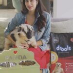 Janhvi Kapoor Instagram – Thank you Dr. Shashank for listening to my concerns and giving such detailed insights about Panda’s diet. I only select what is best for my pooch, and @Droolsindia has solved my worries by providing delicious, nutrition rich meal options. I am happy to associate with Drools and be a part of their journey.🐾🐾❤️