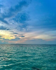 Janhvi Kapoor Instagram - Messy hair, iridescent skies, salty winds and an endless ocean 💘

#discoversoneva #sonevajani #experiencesoneva #coastalin