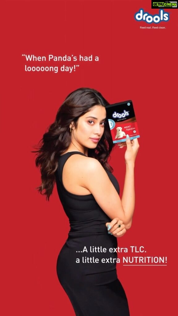 Janhvi Kapoor Instagram - I don’t have to worry about Panda’s diet anymore, because @Droolsindia has all the answers! Their entire range of products are enriched with the goodness of 100% real ingredients & nutrients. Keeping your pets happy & healthy ❤️ Drools- Feed Real Feed Clean 🐾 #reels #reelsinstagram #reelsvideo #reelsinsta #petfood #pets #petstagram #instagood #instadaily #petlovers