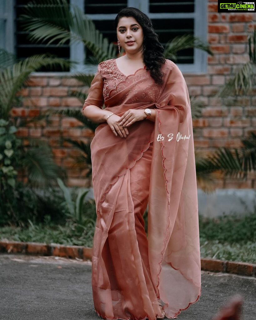 Jewel Mary Instagram - Moody tones brighter thoughts !!! This beautiful organza saree by @kalista_shaheera_noushad mua @mukeshmuralimakeover Captured by @ebysolickal #saree #organzasaree #handwork #photooftheday