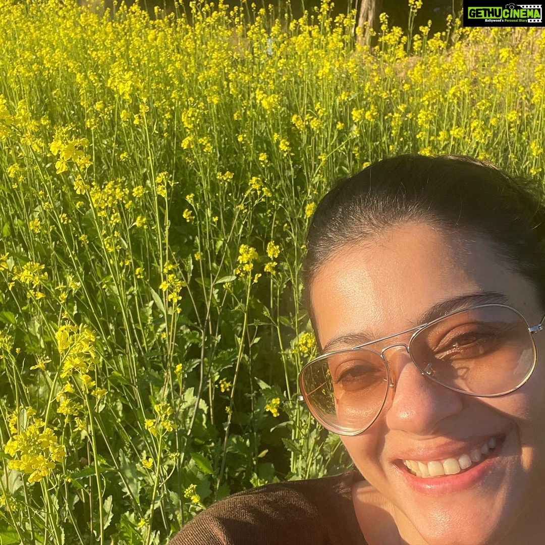 Kajol Instagram - The khet next to me gets centre stage.. #sarsonkekhetmein #ddljmoment