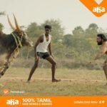 Kalaiyarasan Instagram - Pudiyakaran Pandi na ellarukum pudikum..🥹❤️ Thalaivan vibe-u appdi!! Have you watched the new episode of #PettaikaaliOnAHA?✨🙌 #Pettaikaali #Vetri_Maaran @la.rajkumar @r.velraj.isc @musicsanthosh @kalaiyarasananbu @sheela14_official @actorkishore #MerkuthodarchimalaiAntony @balahasanr @thendr_zephyr @jigowtham @monisha_moshika @editorsudharsan @ramuthangaraj @velaramamoorthy #Pettakaali