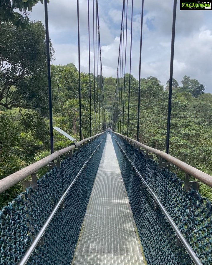 Kalyani Priyadarshan Instagram - A Singapore Minute πΈπ¬βοΈπΆπ€πΌπ±ππ»