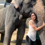 Karanvir Bohra Instagram - Our little glimpse for the Colombo trip ….🐘🐘🐘♥️