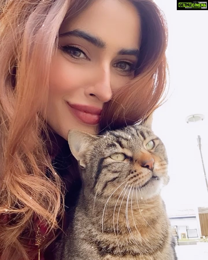 Karishma Sharma Instagram - This sums up to some of my favourites 🤍 Istanbul, Turkey