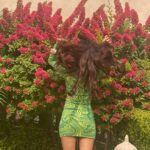 Karishma Sharma Instagram - Fresh flowers and an old school love 💕