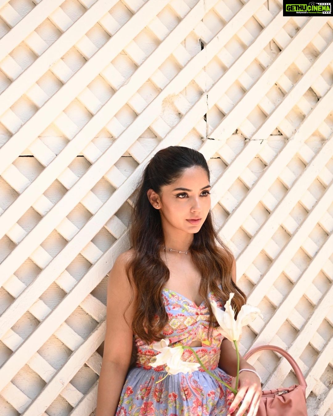 Kashmira Pardesi Instagram - Blossom’s energy 😏 kinda classy kinda hood ❤️🔥 Shot by : @kalyaam_2.0 @ashwin_harke Styling : @jasjeet01_ Styling assistant : @dhritisoonderji @_aamenaa_ HMU : @sandybeauti Hairstyle by : @makeoversbyjacqueline Managed by : @wizardingmedia_