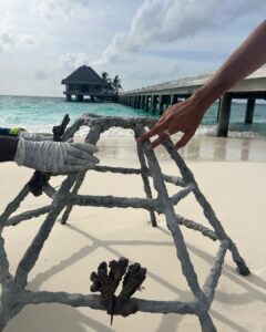 Kashmira Pardesi Instagram - Find me under the palms 🌴🌊

@touronholidays @heritanceaarah 

#touron #touronmaldives #HeritanceAarah #HeritanceHotelsandResorts #HeritanceExperience #SunnySideofLife #PremiumAllInclusive