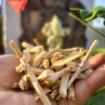 Kavita Kaushik Instagram - FEW OF OUR STAR INGREDIENTS 🌟 we don't use any chemicals, No preservatives or added smells or colour, everything is derived from herbs , flowers , leaves , seeds & vegetables pressed juices and oils ! At @houseofaparnaauntys we work at extracting the goodness of Nature to heal your Skin & Hair by providing nourishment and targeting the root of each problem, Herbs like Satavari, Ashwagandha, Arjun bark, Vetivar and many more infuse new life into your skin while repairing damage , the flowers and oils provide proteins to improve elasticity, collagen and over all skin quality, Hydration & glow are just added advantages! We are also in the process of upgrading and taking the brand international, we love n thank each pf you for your support in trying and then loving us! Watsapp 9820378775 to book your orders with us😇 Aparnaauntys.com