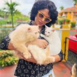 Kavita Kaushik Instagram - Too amazing to not share, I fell during the first set of sheershasan so sat to meditate n focus, opened my eyes to this protection from hubby and furry baby ! They don't let me miss having a brother today 🥰🥰🧿 #happyrakshabandhan #Allinone #Bestbuddies #blessedwiththebest