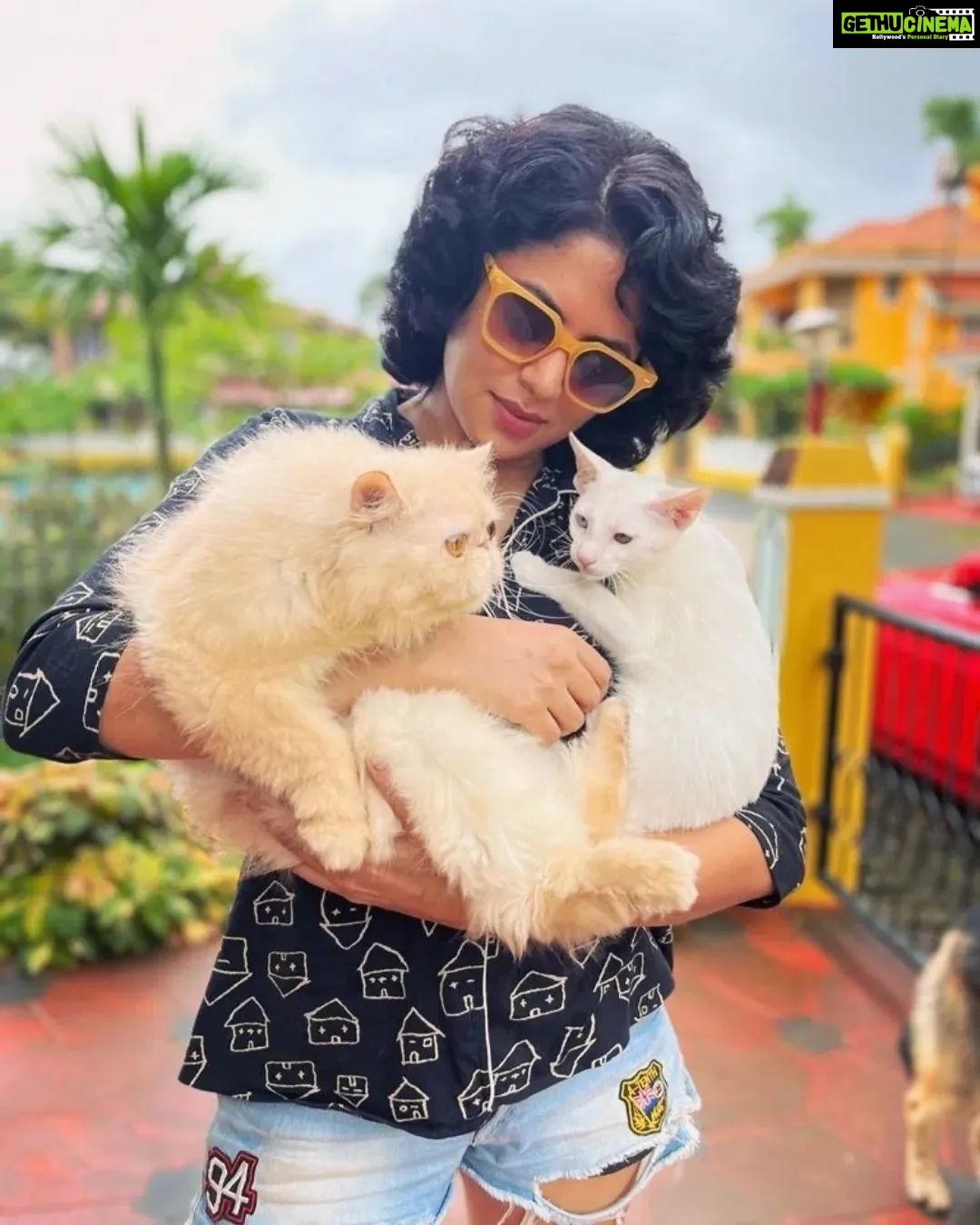 Kavita Kaushik Instagram - Too amazing to not share, I fell during the first set of sheershasan so sat to meditate n focus, opened my eyes to this protection from hubby and furry baby ! They don't let me miss having a brother today 🥰🥰🧿 #happyrakshabandhan #Allinone #Bestbuddies #blessedwiththebest