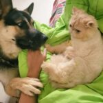 Kavita Kaushik Instagram - If 'Aisa uss mei kya hai jo vo bed pe allowed hai mai nahi' had a face
