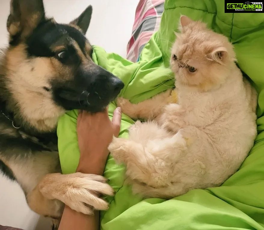 Kavita Kaushik Instagram - If 'Aisa uss mei kya hai jo vo bed pe allowed hai mai nahi' had a face