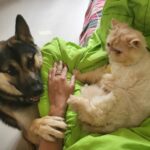 Kavita Kaushik Instagram - If 'Aisa uss mei kya hai jo vo bed pe allowed hai mai nahi' had a face