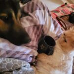 Kavita Kaushik Instagram - If 'Aisa uss mei kya hai jo vo bed pe allowed hai mai nahi' had a face