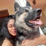 Kavita Kaushik Instagram – Back home cos this Gentle Giant missed his mommy n Daddy ! Thanks @kabirsadanand uncle for looking out for me always🐺 Raaka happy happy now ! Come home soon papa @justronnit
It’s Carry on Jatta 3 time !!! Have u guys seen the trailer? Film is 100 times funnier! In cinemas 29th june🥰 #carryonjatta3 #laughriot
#comedy #movies #superhit #franchise #blessing