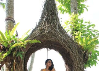 Keerthi shanthanu Instagram - Yellowloveeee💛All the way from Bali💛 This was a beautiful experience @gtholidays.in 💛 #baliswing #yellow #bleedyellow #yellowlove #csk #bali